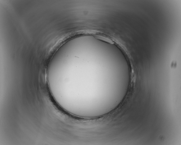 X0000111390013200907241345