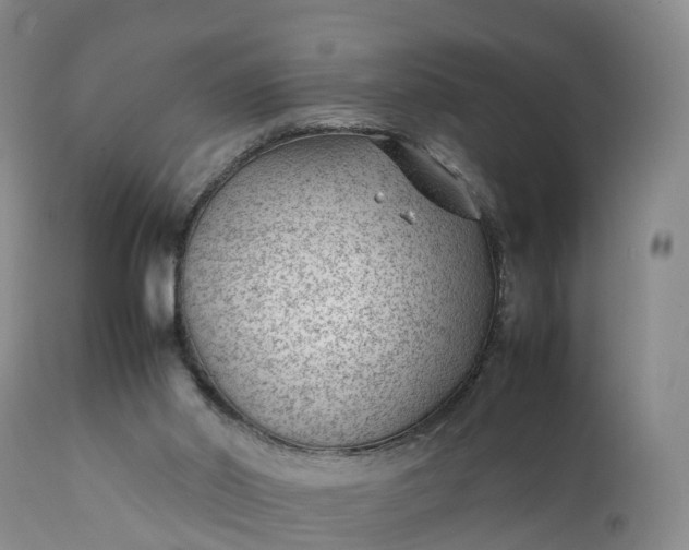 X0000111390014200907241345