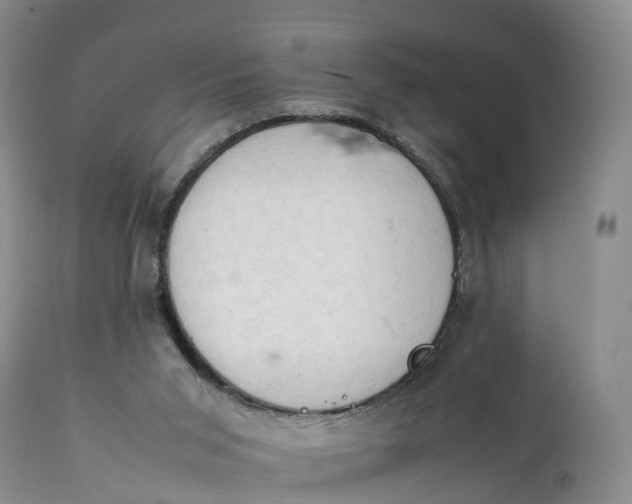 X0000111390015200907241345