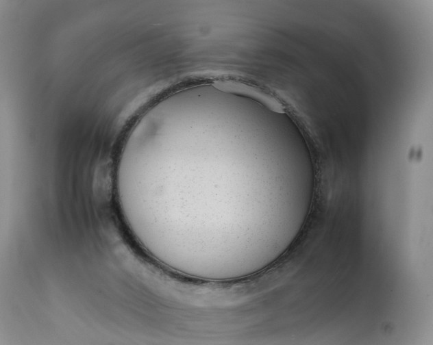 X0000111390016200907241345