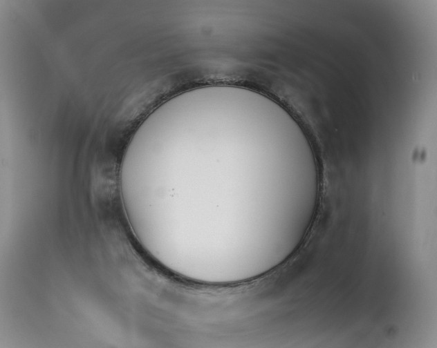 X0000111390017200907241345