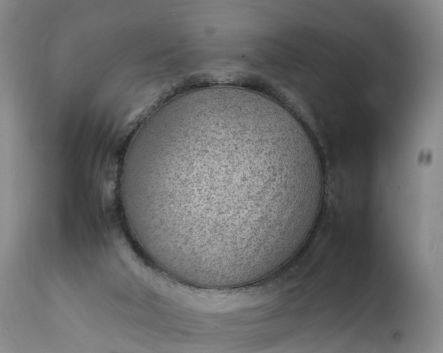 X0000111390018200907241345