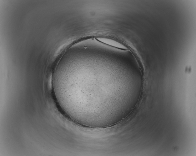 X0000111390019200907241345