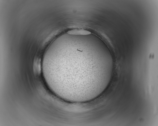 X0000111390020200907241345