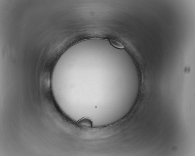 X0000111390021200907241345