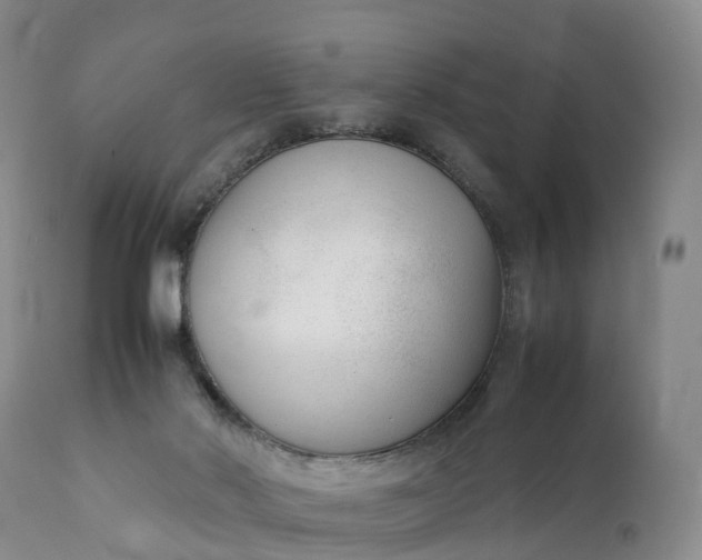 X0000111390022200907241345