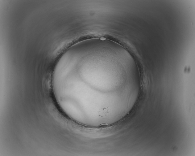 X0000111390023200907241345