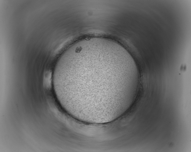 X0000111390024200907241345