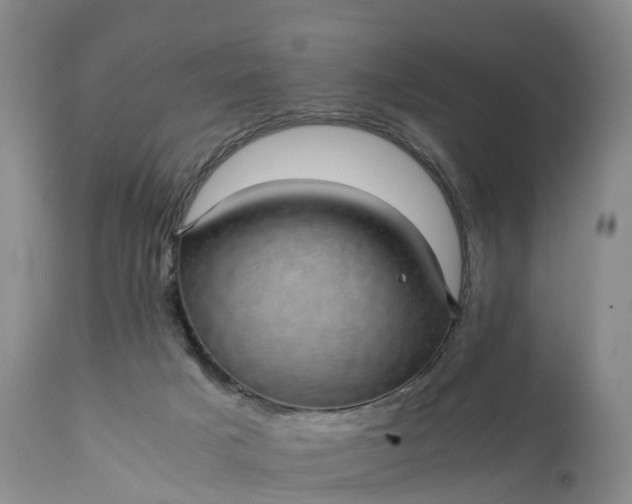 X0000111390025200907241345