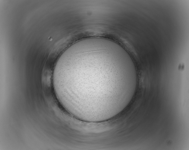 X0000111390026200907241345