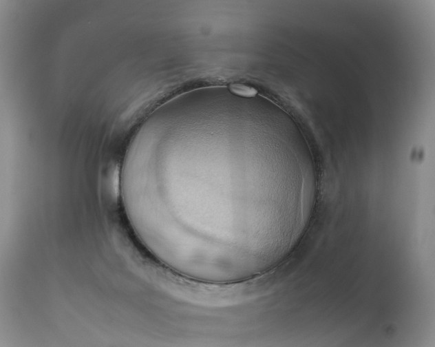 X0000111390027200907241345