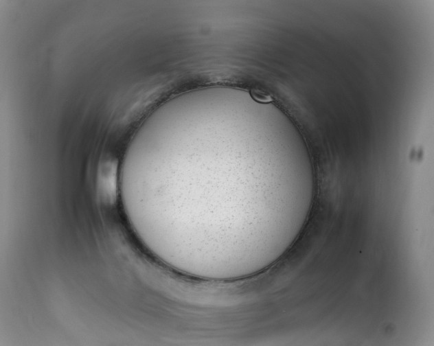 X0000111390028200907241345