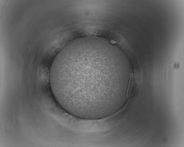 X0000111390029200907241345