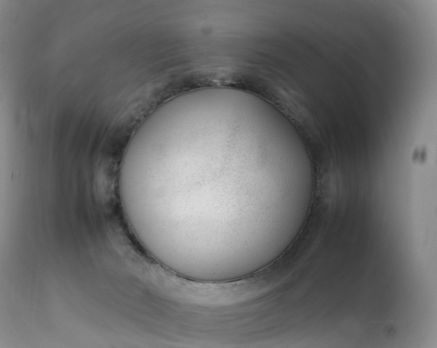 X0000111390030200907241345