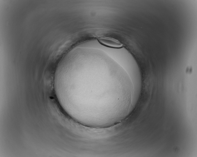 X0000111390031200907241345