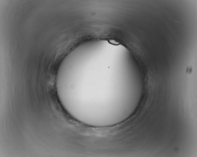 X0000111390033200907241344