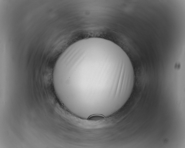 X0000111390034200907241344