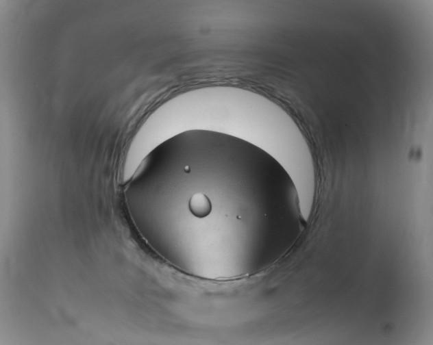 X0000111390035200907241344