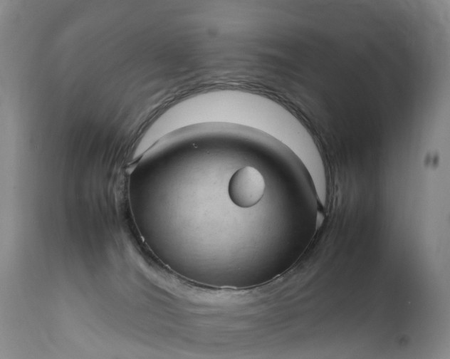 X0000111390036200907241344