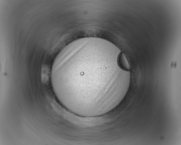 X0000111390038200907241344