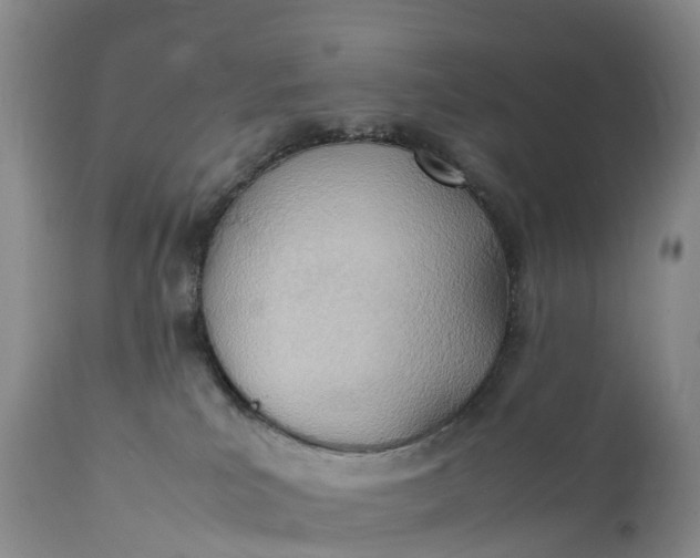 X0000111390039200907241344