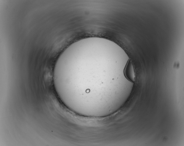 X0000111390040200907241344