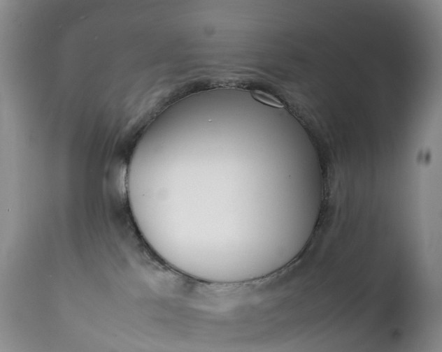 X0000111390041200907241344