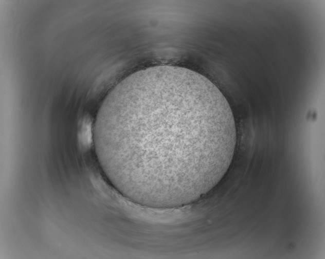 X0000111390042200907241344