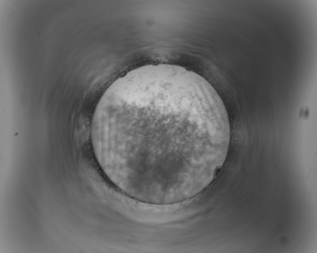 X0000111390043200907241344