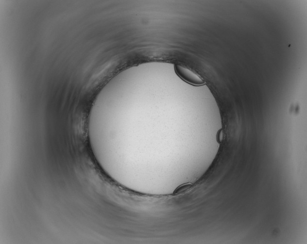 X0000111390044200907241344