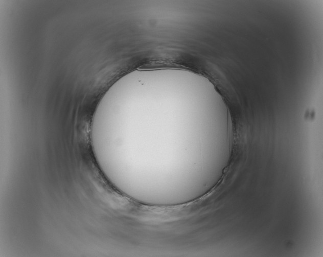 X0000111390045200907241344