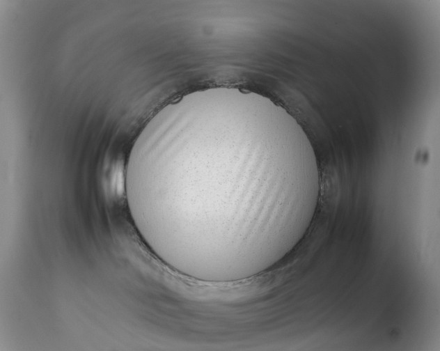 X0000111390046200907241344