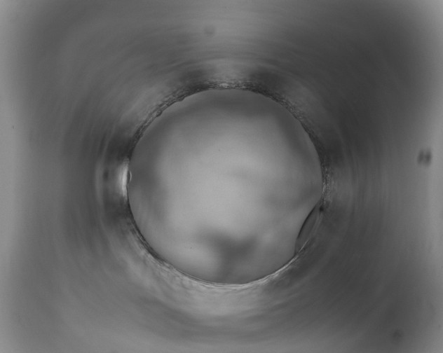 X0000111390047200907241344