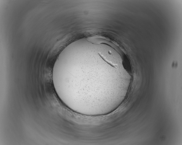 X0000111390048200907241344