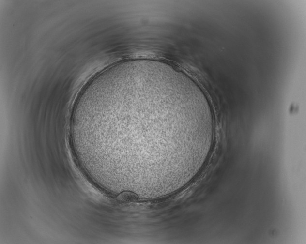 X0000111390049200907241344