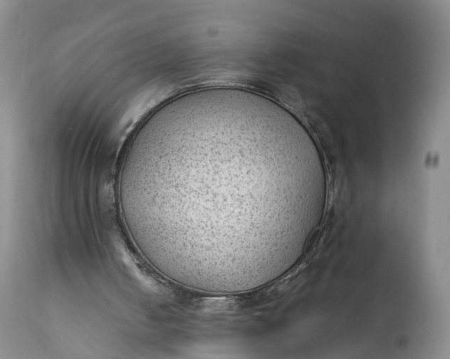 X0000111390050200907241344