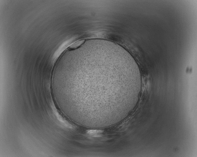 X0000111390051200907241344