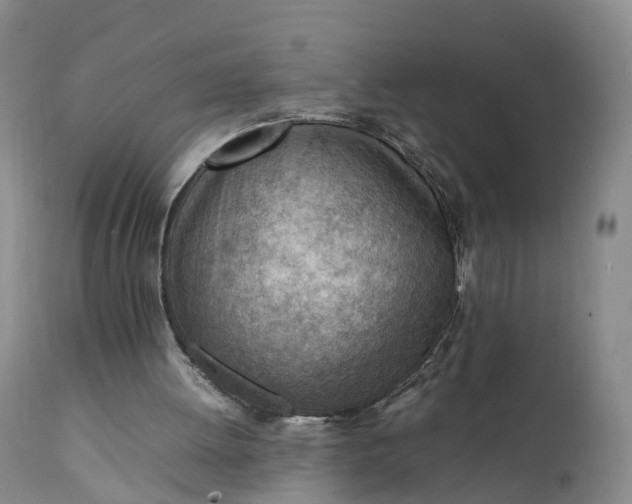 X0000111390052200907241344