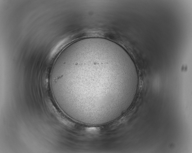 X0000111390053200907241344