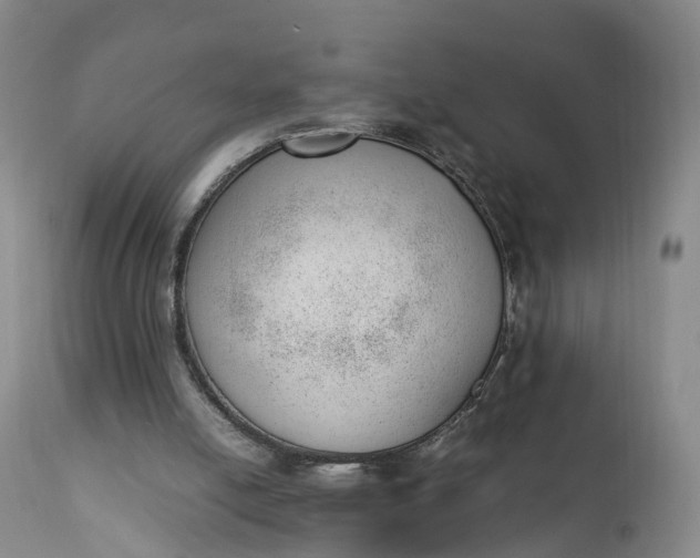 X0000111390054200907241344