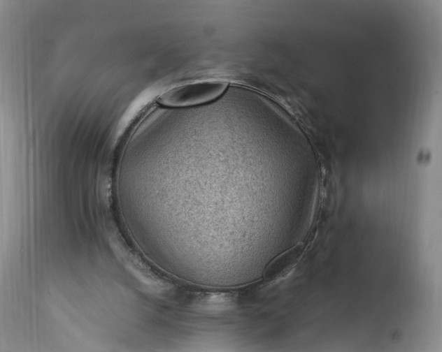 X0000111390056200907241344