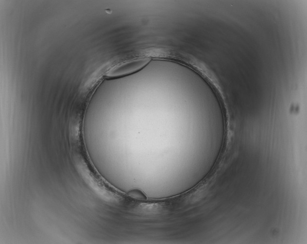 X0000111390057200907241344