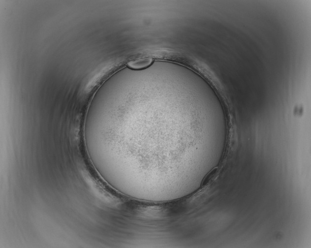 X0000111390058200907241344