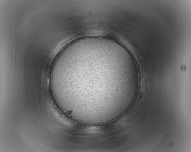 X0000111390059200907241344