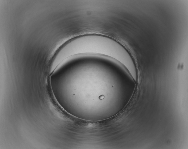 X0000111390060200907241344