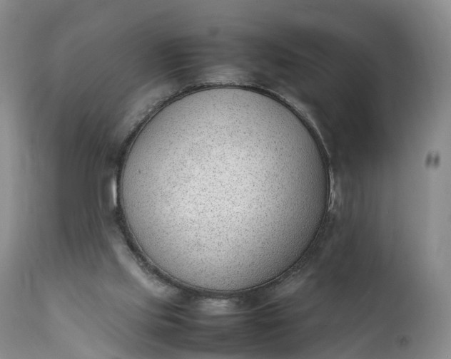 X0000111390061200907241344