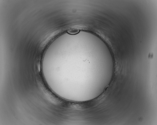 X0000111390062200907241344