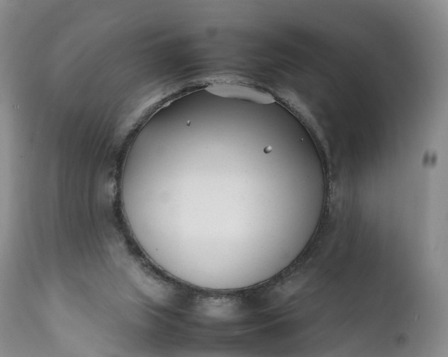 X0000111390063200907241344