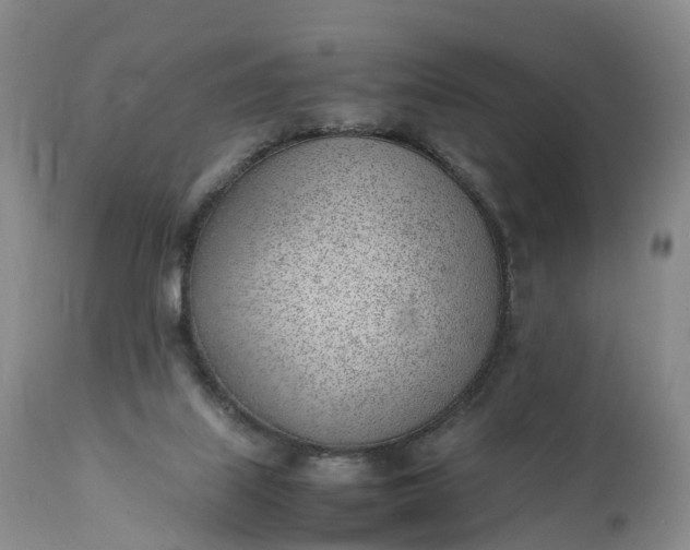 X0000111390067200907241344