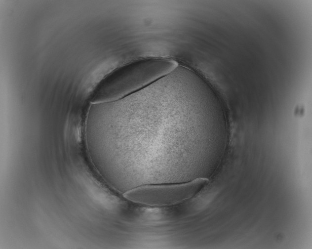 X0000111390068200907241344